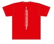 画像2: 天皇杯2025Tシャツ (2)