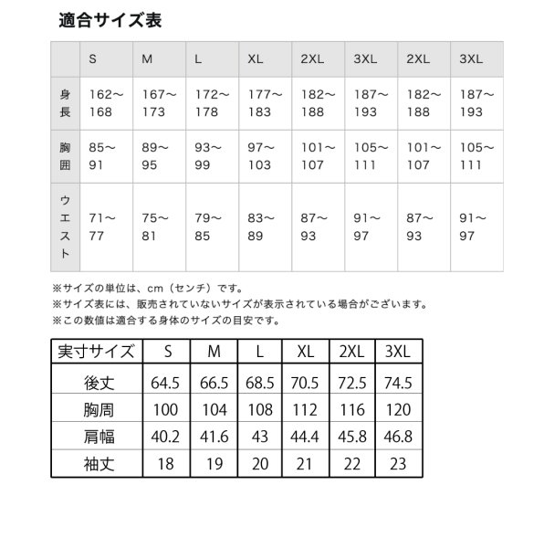 画像3: ソフトテニス関東大会2026ポロシャツBK (3)