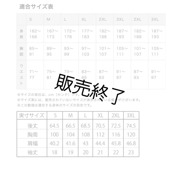 画像3: ソフトテニス関東大会2026ポロシャツWH (3)