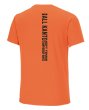 画像2: ALL KANTO 2026Tシャツオレンジ【7月29日出荷】 (2)